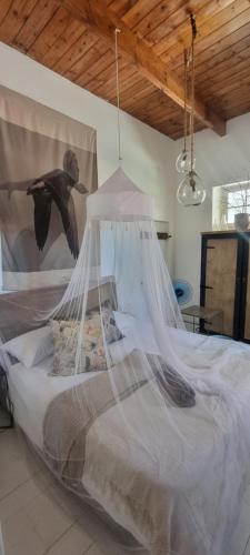 Calitzdorp Self-Catering Guesthouse - Oudehuis Calitzdorp Self-Catering Guesthouse - Oudehuis