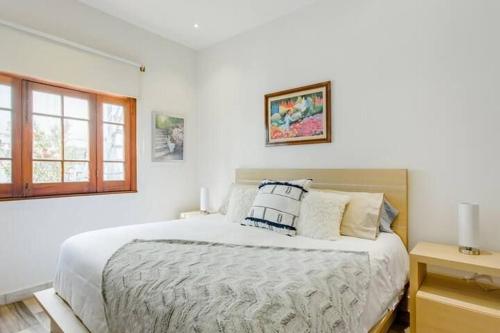 Walk to Museums from a Calm Apartment in Colonia Cuauhtémoc Walk to Museums from a Calm Apartment in Colonia Cuauhtémoc