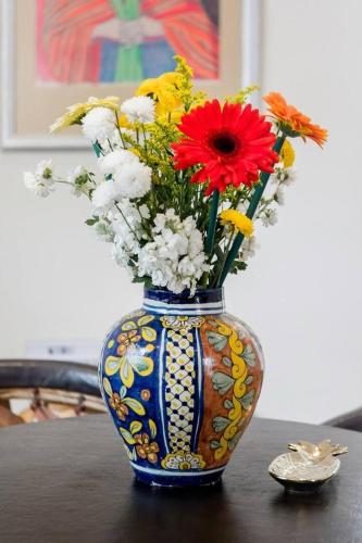 Walk to Museums from a Calm Apartment in Colonia Cuauhtémoc Walk to Museums from a Calm Apartment in Colonia Cuauhtémoc