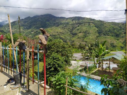 pequeña casa en finca cafetera, Medellín (Foto 7)