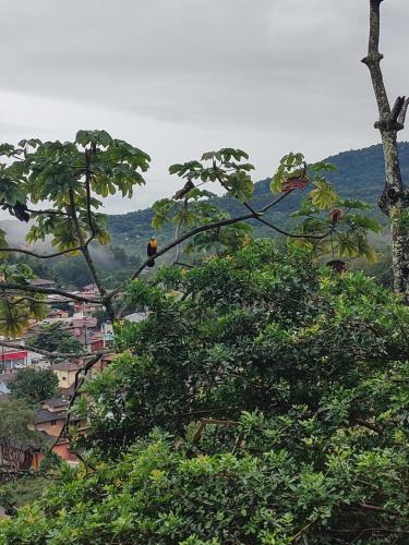 Chales rotaleste Ilhabela in Cocaia