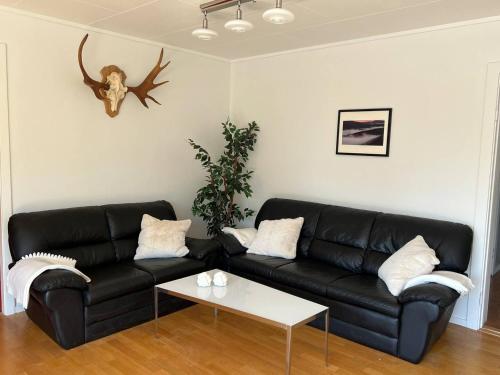 . Stor leilighet på Finnskogen - stillhet og ro