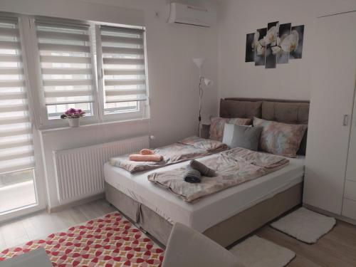 Apartman Nana, Banja Koviljača