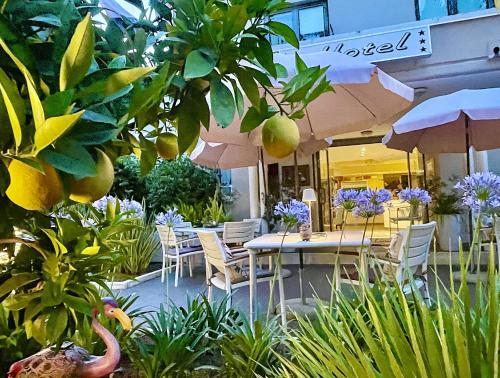 Hotel Alfieri - image 7
