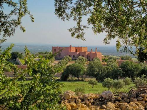 Apkārtne, Privatisation du Domaine La Colline Des Oliviers in Bou Mkila