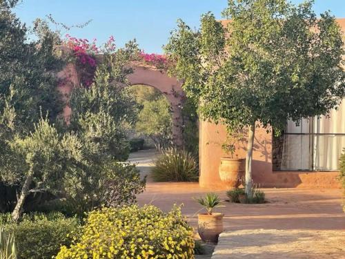Apkārtne, Privatisation du Domaine La Colline Des Oliviers in Bou Mkila
