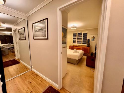 Expansive Views From Sydney 1 Bedroom Apartment - image 10