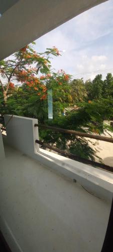 Estudio Flamboyan in El Cuyo, Mexico