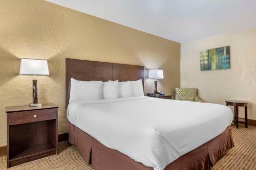 Best Western of Hope - image 12
