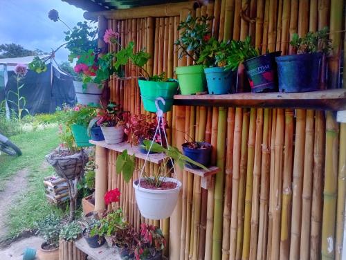 El Monolito Camping in เชาชี