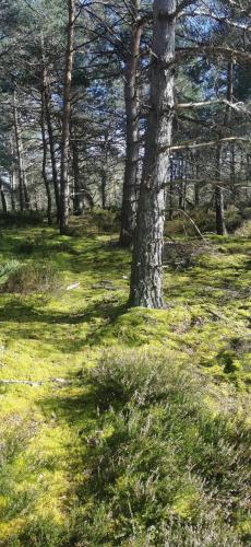 A környék, Jolie dépendance proche forêt- Nemours (Jolie dependance proche foret- Nemours) in Poligny (Ile-de-France)