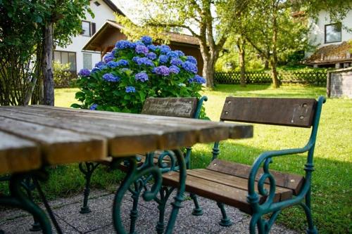  NaturparkResort Haus Geigenkogel in Sankt Gallen