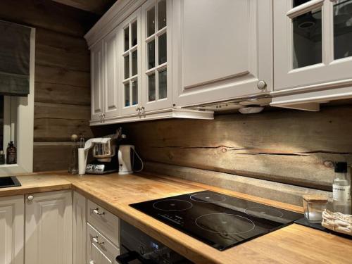 Cabin with Porsche to rent in Sogndal