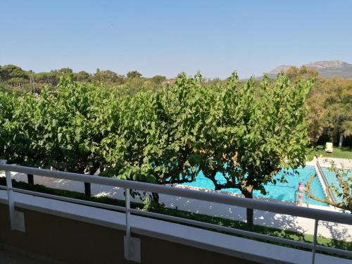 One-Bedroom Apartment with Pool View image 2