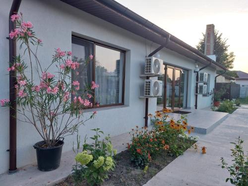 Accommodation in Comuna Crușeț