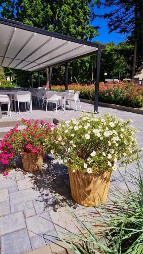 Resort Moderna Jastrzębia Góra – Jastrzebia Gora, NY