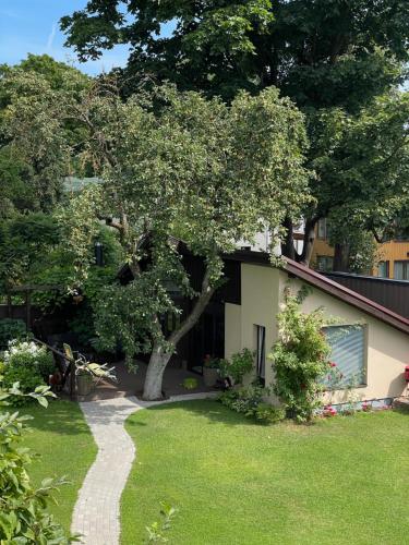 Summer chalet in the heart of Riga, Riga (Foto 3)