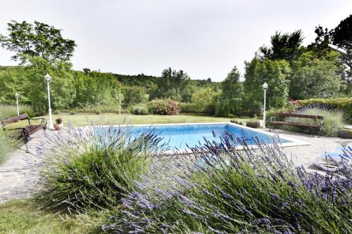 Villa Anna - image 4