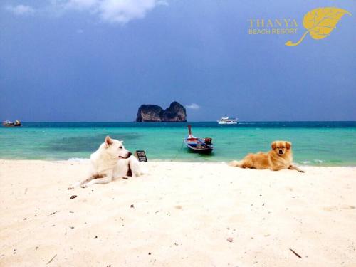 Thanya Beach Resort - SHA Plus