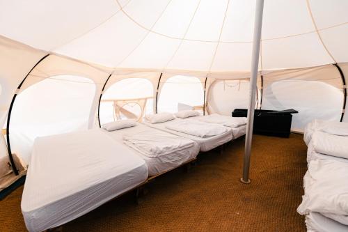Dead Sea Camping קמפינג ים המלח in Ein Gedi