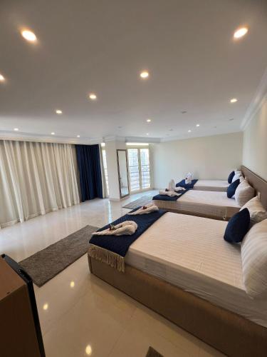 Town Hotel Cairo - image 12