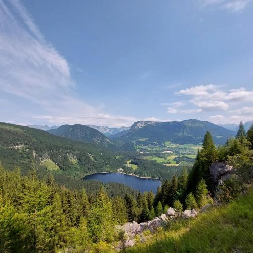 瓦格纳霍夫农庄 瓦格纳霍夫农庄