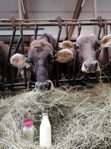 瓦格纳霍夫农庄 瓦格纳霍夫农庄