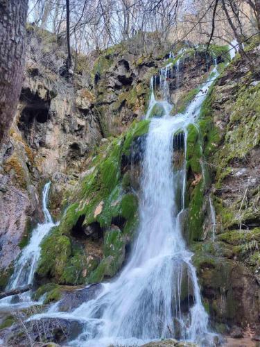 Apartman Cicović Apartman Cicović