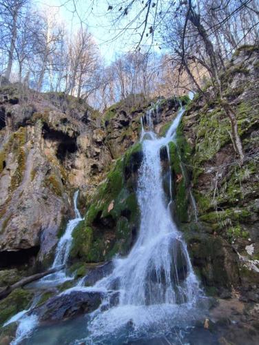 Apartman Cicović Apartman Cicović