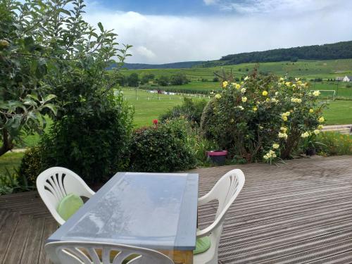 Vista, CHEZ LE VIGNERON in Rouffach