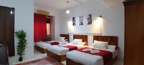 Cairo Bella house - كايرو بيلا هاوس