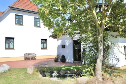 外部景觀, FeWo Wollin Mecklenburg Pool Alte Schule Barlin in 達爾貢
