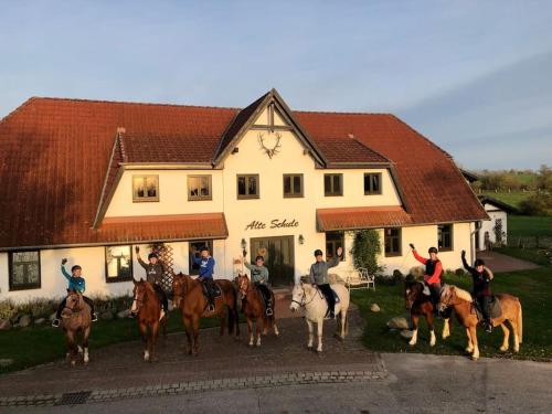 騎馬, FeWo Wollin Mecklenburg Pool Alte Schule Barlin in 達爾貢