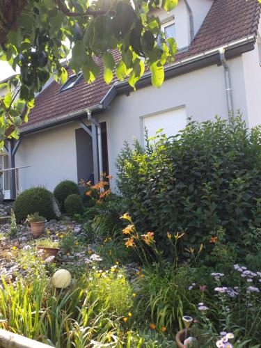 CHEZ LE VIGNERON in Rouffach