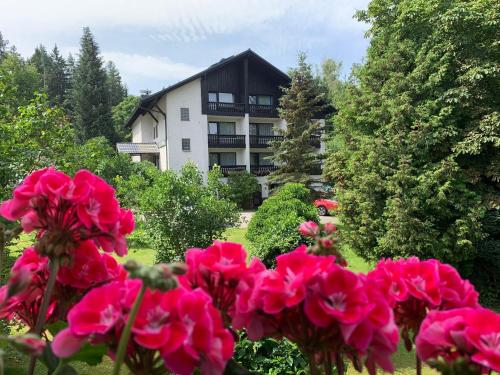 Accommodation in Bad Alexandersbad