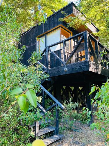 Lodge Punahue