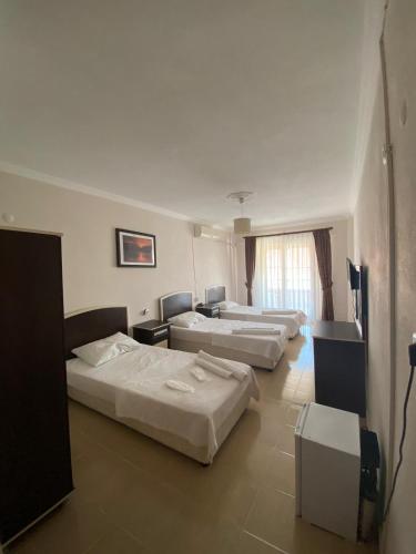 Altinkum tatil konakları in Turkeli