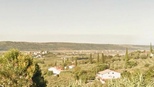 Little Brioni Little Brioni