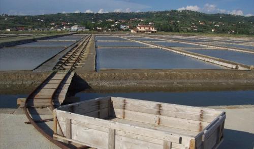 Little Brioni Little Brioni