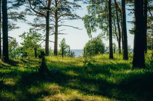 Kilátás, Kempings Vārzas (Kempings Varzas) in Skulte