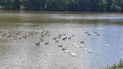 Charming Riverside House with Jacuzzi and Gym Charming Riverside House with Jacuzzi and Gym