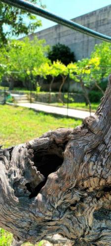 Villa Sine Tempore Fumarola