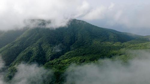 Villa Liamuiga in เซนต์ คิตส์