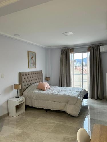 Apart Soler