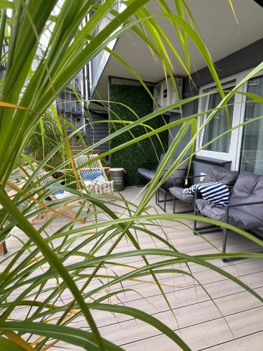 Apartament Leniwa Dębina