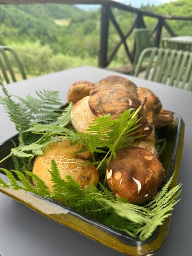 比奥伊尔维尼欧农庄酒店