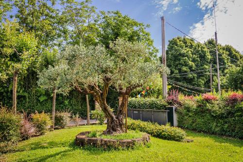 Agriturismo Villa Serena - image 13