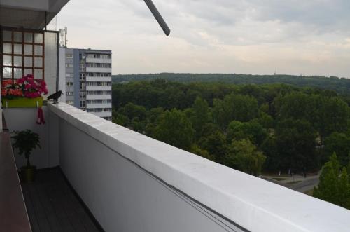 Varanda/terraço, Apartment Silesia Park - Free Parking - easy check-in in Osiedle Tysiaclecia
