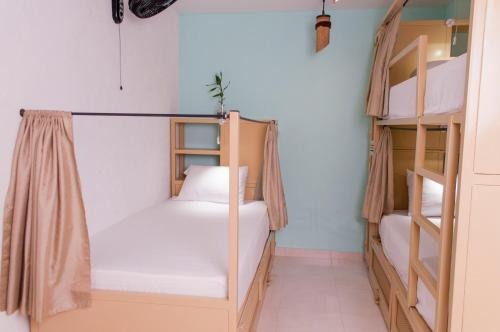 Single Bed in Female Dormitory Room image 3