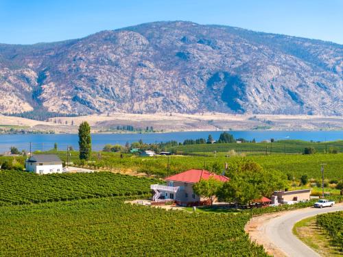 'Le Coin Perdu Winery/vineyard and Countryside B&B